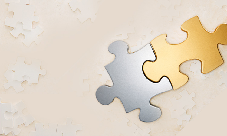 Dual Currency Investments