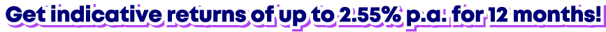 Get indicative returns of up to 2.55% p.a. for 12 months
