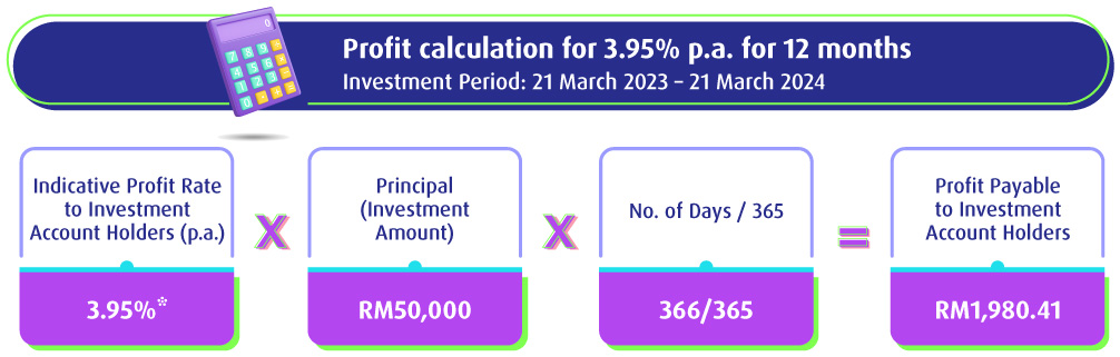 Profit Calculation 12 months