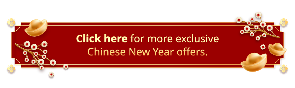chinese new year offers
