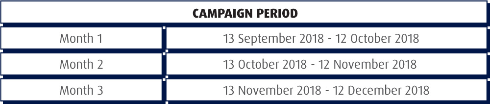 Campaign period